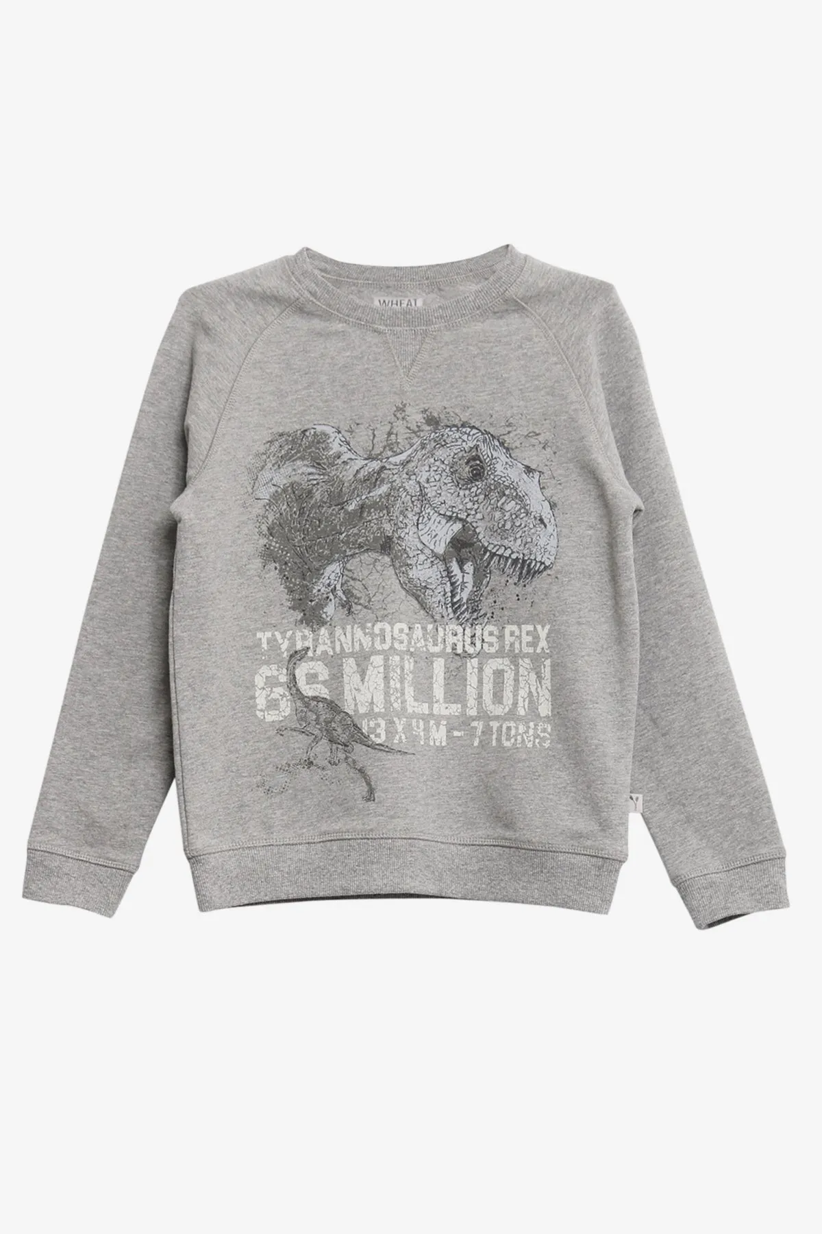 Wheat Dinosaur Kids Sweatshirt